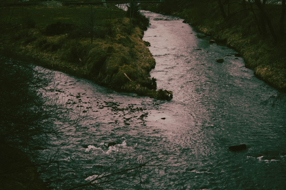 a river running through a lush green forest